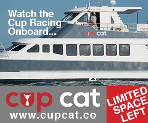 Cup Cat AmCup Ads_300x250px 1