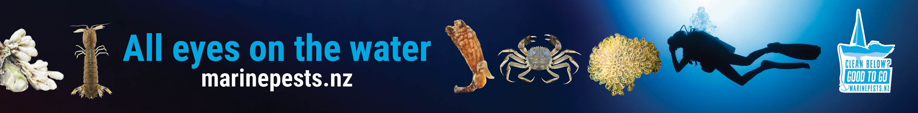 Clean Below - All Eyes 1456x180 TOP