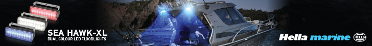 Hella Dual Colour Floodlights - Top 728 x 90px - 6 jpg