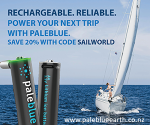 Paleblue Discount Code 300X250