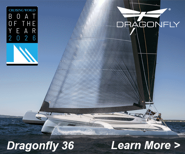 Dragonfly 36