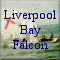 Liverpool Bay Falcon