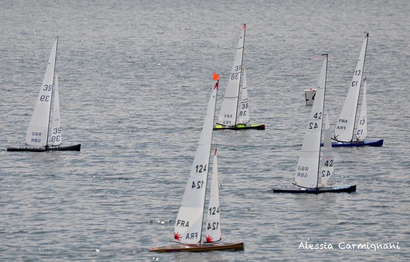 IRSA World Championship Radio Sailing 2018 photo copyright Alessia Carmignani taken at Segelverein Biblis e. V. and featuring the 10 Rater class