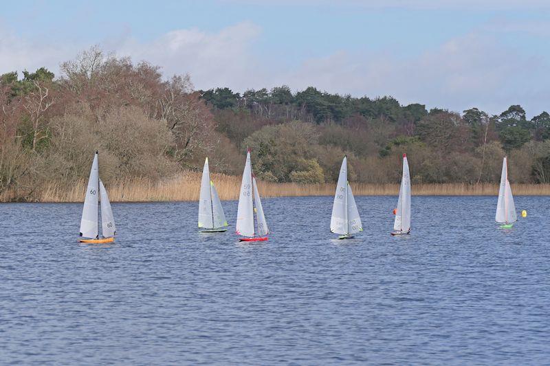 10 Rater Tankard at Frensham photo copyright Tony Schlaeppi taken at Frensham Pond Sailing Club and featuring the 10 Rater class