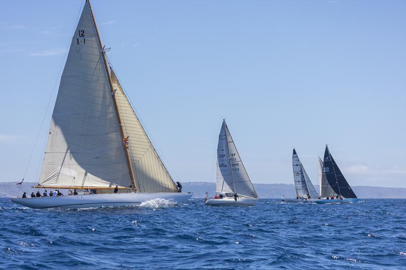 Spirit of Tradition at PalmaVela 2024 photo copyright Laura G. Guerra / PalmaVela taken at Real Club Náutico de Palma and featuring the 12m class