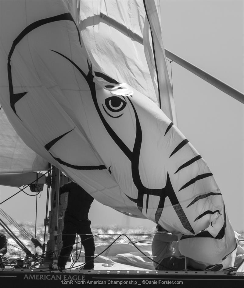 12 Metre North American Championship photo copyright Daniel Forster taken at Ida Lewis Yacht Club and featuring the 12m class