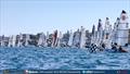 Skelcon Australian 16ft & 13ft Skiff Championship Day 2