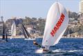 &copy; SailMedia