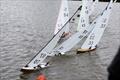 MYA Scottish District Wooden Hull IOM Championship at Paisley © Bill Odger