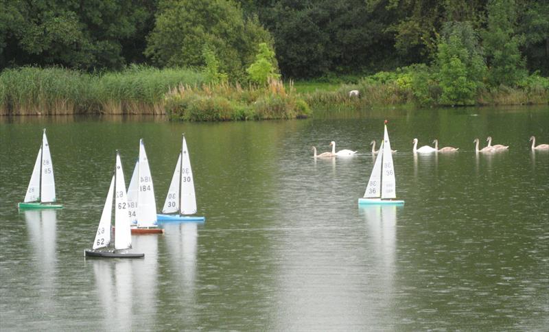 Scottish IOM Travellers at Paisley MYC  photo copyright David Smith taken at Paisley Model Yacht Club and featuring the One Metre class