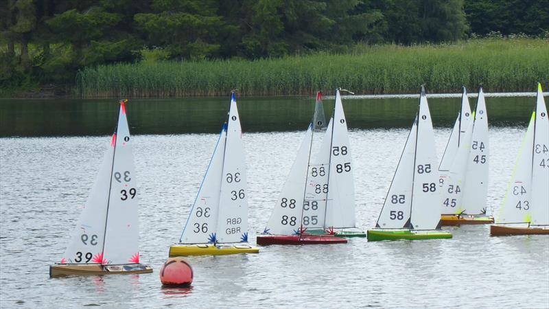 OM Scottish District Travellers 2 at Tayside Radio Sailing Club photo copyright David Williams taken at  and featuring the One Metre class