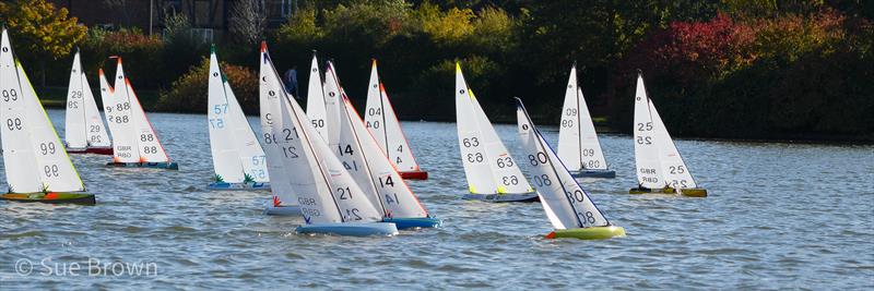 IOM Ranking Series Rounds 5 & 6 at Two Island RYC photo copyright Sue Brown taken at Two Islands Radio Yacht Club and featuring the One Metre class