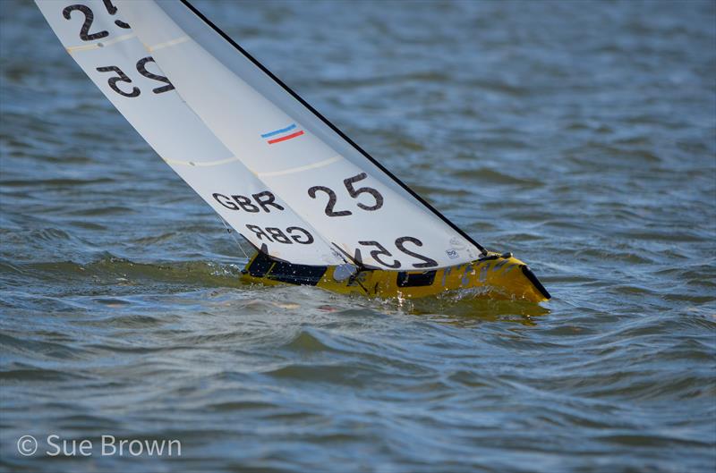 IOM Ranking Series Rounds 5 & 6 at Two Island RYC photo copyright Sue Brown taken at Two Islands Radio Yacht Club and featuring the One Metre class