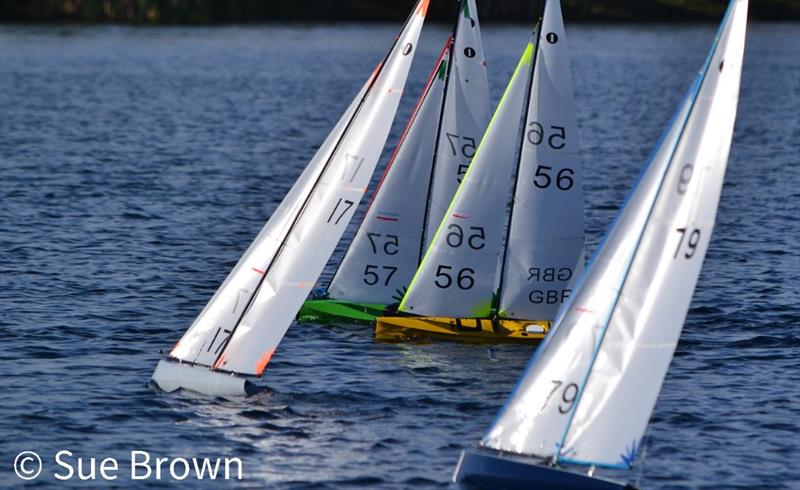 Clive Hand Memorial Trophy 2022 photo copyright Sue Brown Photography taken at Lincoln Radio Sailing Club and featuring the One Metre class