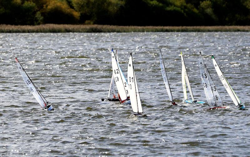 MYA Scottish IOM Travellers at Forfar Loch - photo © Brian Summers