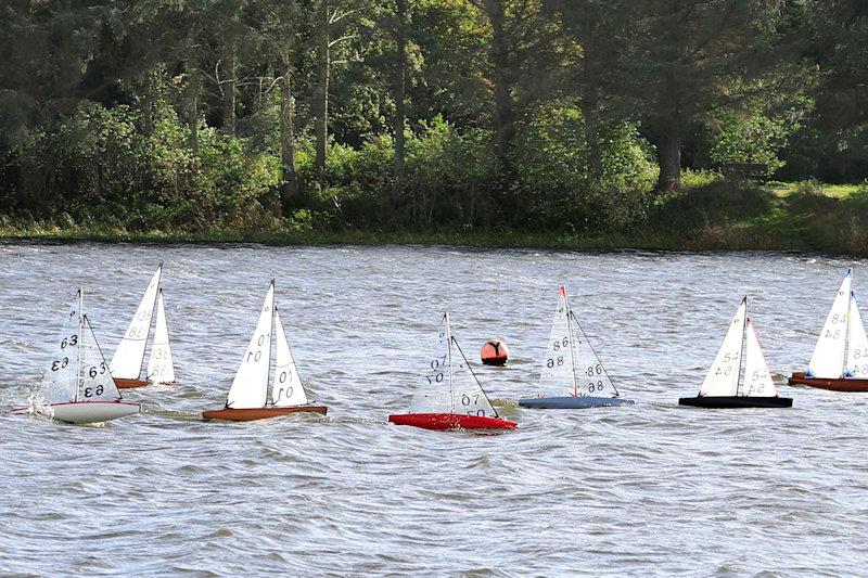 MYA Scottish IOM Travellers at Forfar Loch photo copyright Brian Summers taken at  and featuring the One Metre class