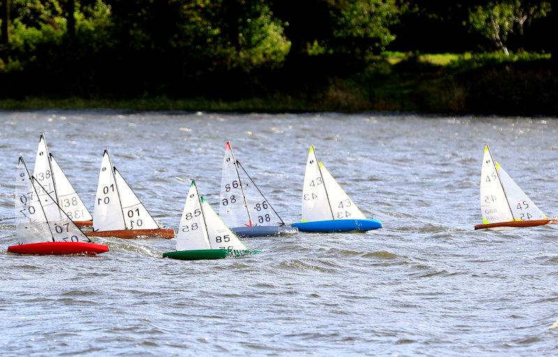 MYA Scottish IOM Travellers at Forfar Loch photo copyright Brian Summers taken at  and featuring the One Metre class