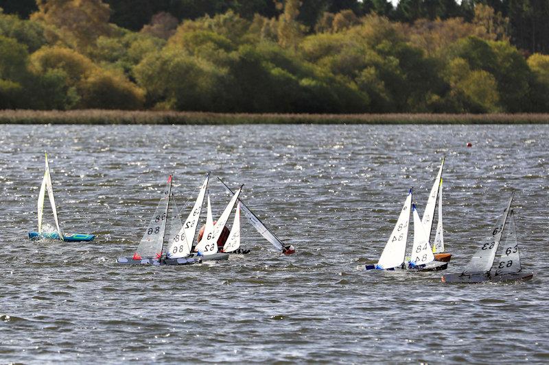 MYA Scottish IOM Travellers at Forfar Loch - photo © Brian Summers