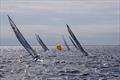 2.4 Meter CanAm Series 2 © Tina Weida