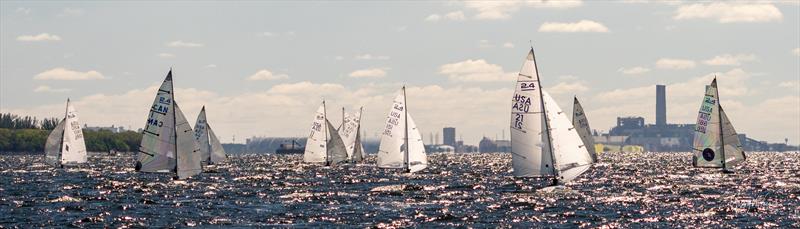 2.4 mR World Championships Regatta photo copyright Davis Island Yacht Club taken at Davis Island Yacht Club and featuring the 2.4m class