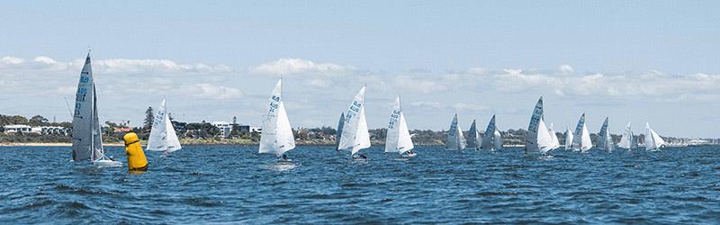 2.4mR Australian Championships 2024 - photo © Royal Brighton Yacht Club