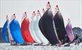 © Robert Hajduk / www.shuttersail.com Finals racing starts in the Zhik 29er Europeans at Quiberon, France © Robert Hajduk / www.shuttersail.com