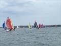 Allen 29er GP1 at the WPNSA © 29er Class Association