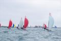 29er class at the Ovington Championships at Weymouth