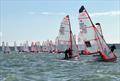29er GP event 5 at Warsash