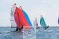Allen 29er GP1 at Weymouth & Portland &copy; Phil Rydin-Orwin