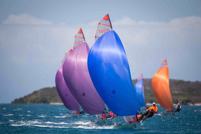 2019 Allianz Championship - Day 3 photo copyright Cercle Nautique Calédonien taken at Cercle Nautique Calédonien and featuring the 29er class