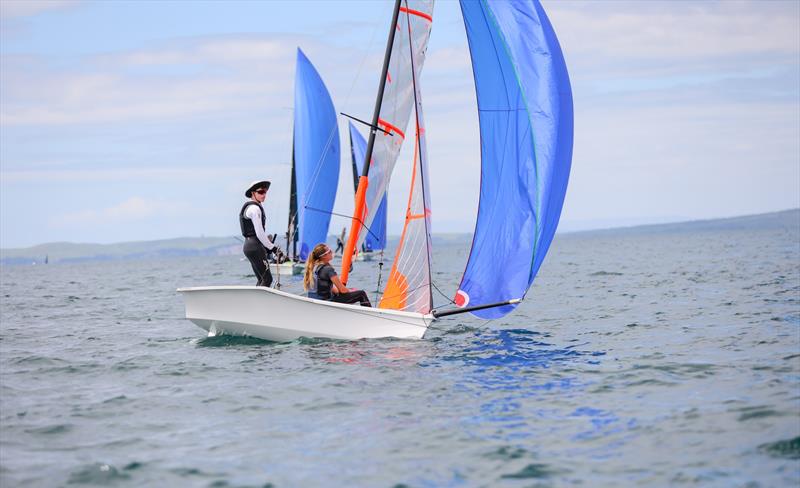 29er - OceanBridge Sail Auckland - Torbay - February 1, 2026 - photo © Jacob Fewtrell/Insight Media