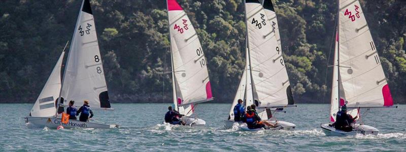 420's Team Racing photo copyright Michael Brown, Yachting New Zealand taken at  and featuring the 420 class