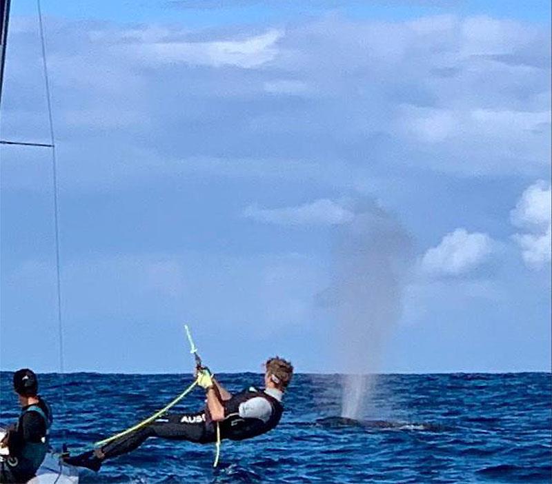 Mat Belcher and Will Ryan during training off Coffs Harbour, NSW photo copyright Victor Kovalenko taken at Coffs Harbour Yacht Club and featuring the 470 class