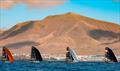 Final day of racing - Lanzarote International Regatta 2026 &copy; Sailing Energy / Lanzarote Sailing Center