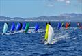&copy; Sailing Energy / Princesa Sofía Mallorca