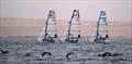 49erFx fleet - US Open Sailing Series