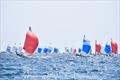 McNay and Paine lead the fleet - 2022 505 World Championship day 6