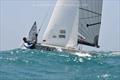 Harken 505, OK and 470 Class Australian Championships - Days 3 & 4