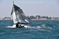 Harken 505, OK and 470 Class Australian Championships - Days 3 & 4