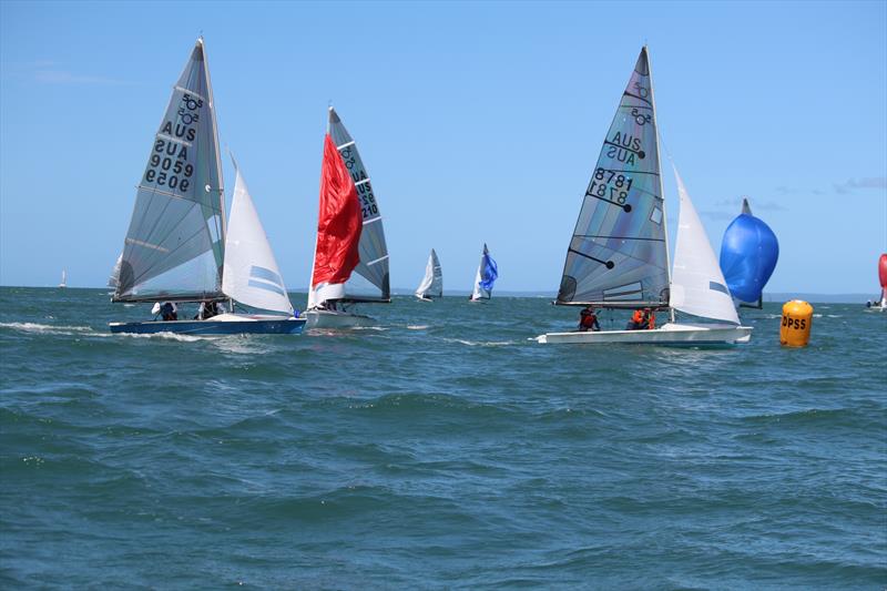 Chris and Ian Gregg (8781) during the 505 Australian Championship Invitation Race photo copyright Jordan Spencer taken at Darling Point Sailing Squadron and featuring the 505 class