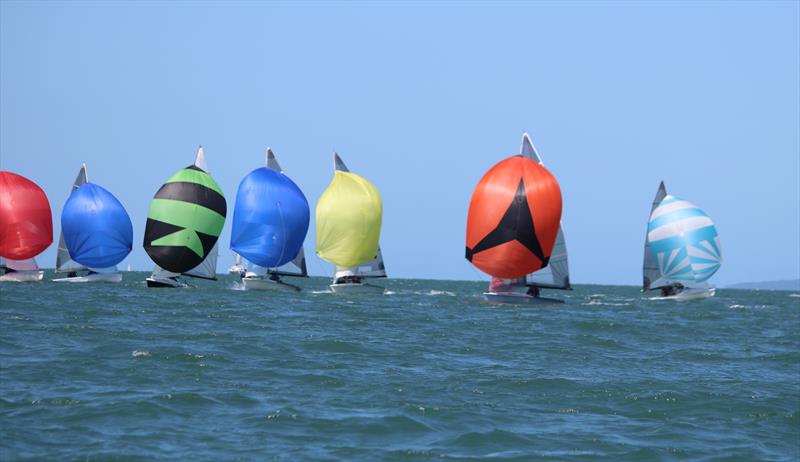 Fleet action during the 505 Australian Championship Invitation Race photo copyright Jordan Spencer taken at Darling Point Sailing Squadron and featuring the 505 class