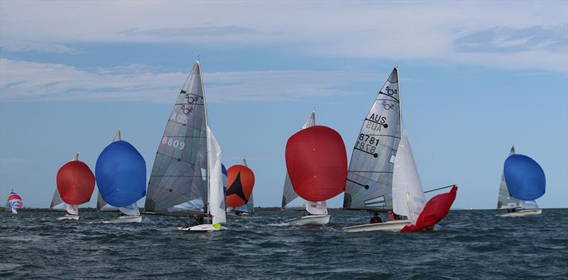 2023 505 Australian Championship  photo copyright Jordan Spencer taken at Darling Point Sailing Squadron and featuring the 505 class