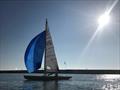 Tara at the Viareggio Classic Regatta © Paolo Maccione