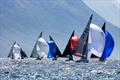 Race 4 on day 2 of the 5.5m Alpen Cup