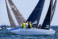 Marie Françoise XXII - 5.5 Metre Scandinavian Gold Cup 2025 © Robert Deaves / www.robertdeaves.uk