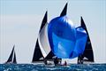 Race 1 - 2025 5.5 Metre French Open