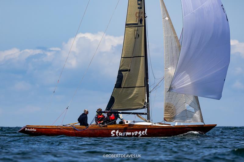 Sturmvogel - 5.5 Metre German Open 2025 - photo © Robert Deaves