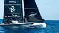© Job Vermeulen / America's Cup
