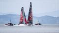 Emirates Team NZ sailing two AC40s in Auckland - November 20, 2025